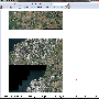 2012-02-10_104906.gif